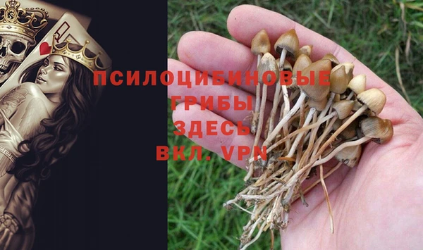 меф Бутурлиновка