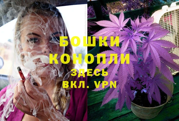 мдпв Няндома