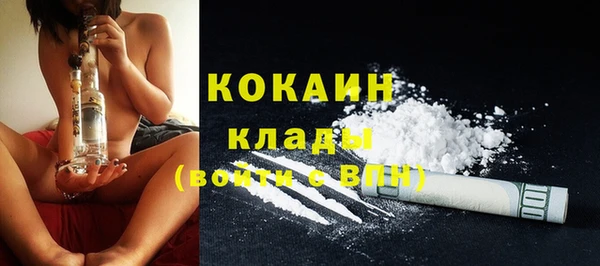 мдпв Няндома