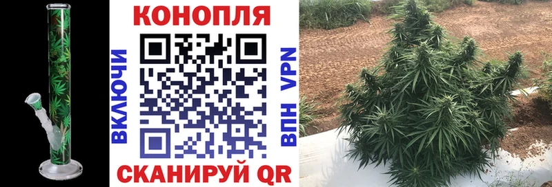 Бошки марихуана OG Kush  где купить наркотик  kraken ссылки  Калининск 